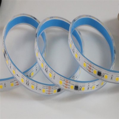 Magic Warm White Color LED Strips Lights