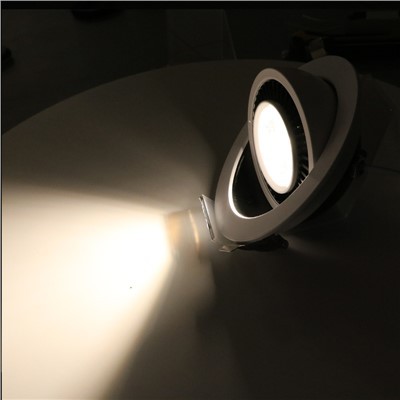 360 ° Rotating LED Downlight