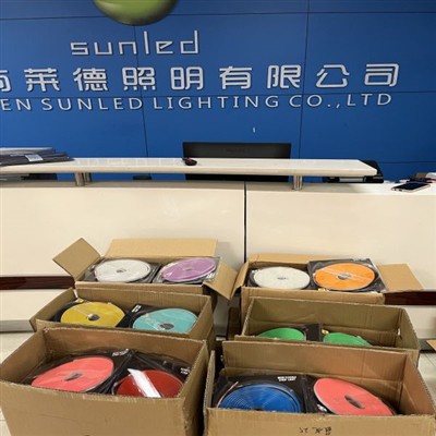 LED Neon Set With Driver