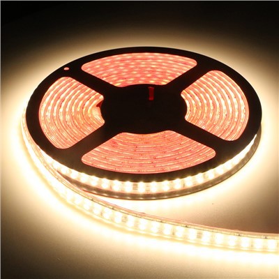 220V 240LED 2835 Flexible Light Strip