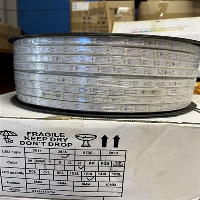 High-voltage Double-row Flexible Lamp Strip