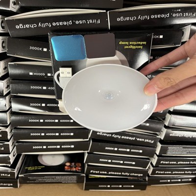 Two-color LED Sensor Emergency Light