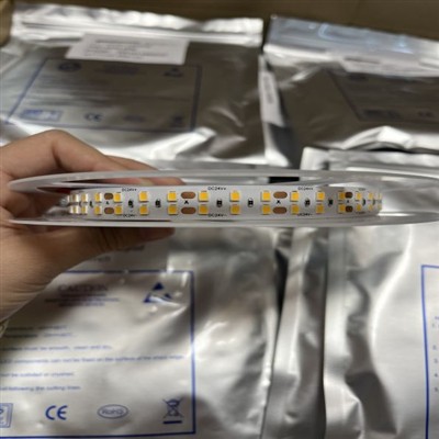 Double Row Flexible 24v LED Strip