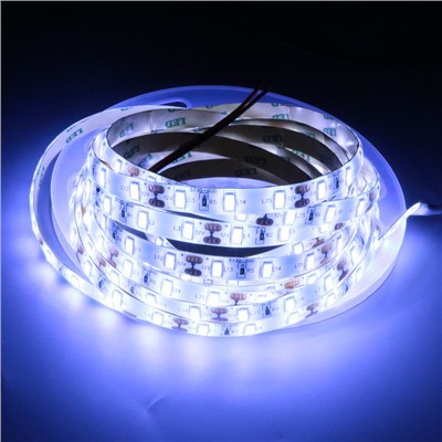 12V 24V 5730 Led Flexible Light Strip 5m Cold White