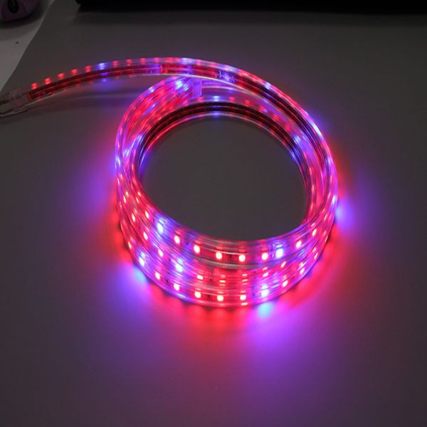 led strip lights for plant.jpg