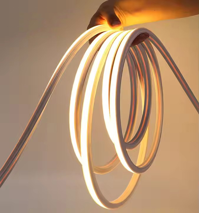 Neon Lights Strip 24V