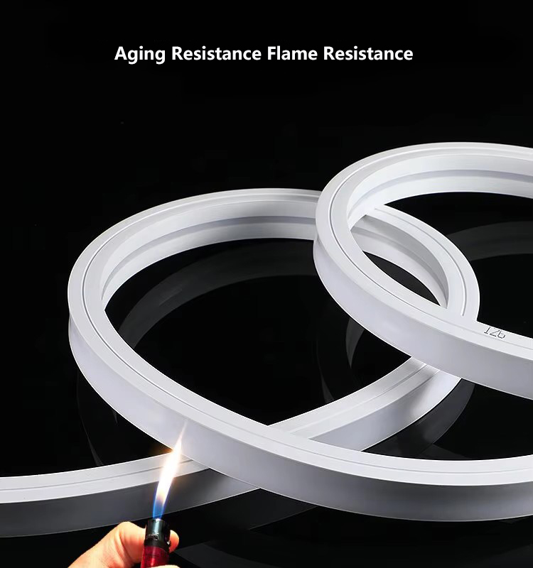 Neon Lights Strip 24V.jpg