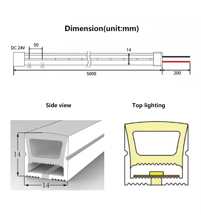 Neon Lights Strip 24V.jpg