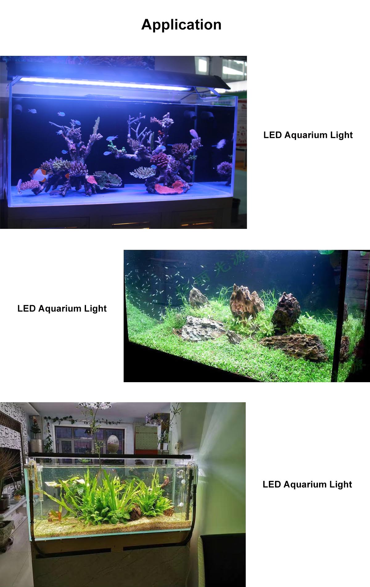 fish tank light.jpg