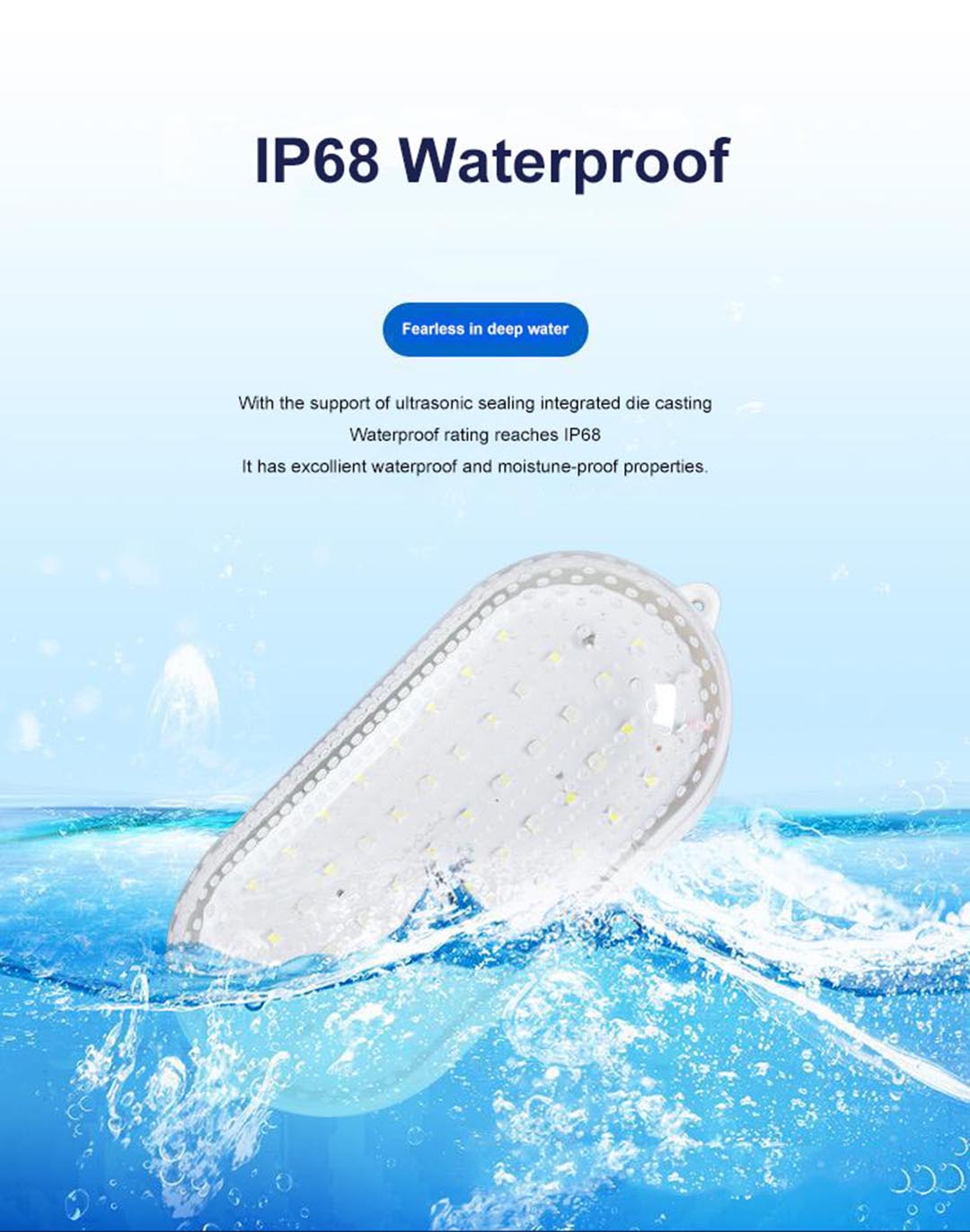 LED Cold Storage Light.jpg