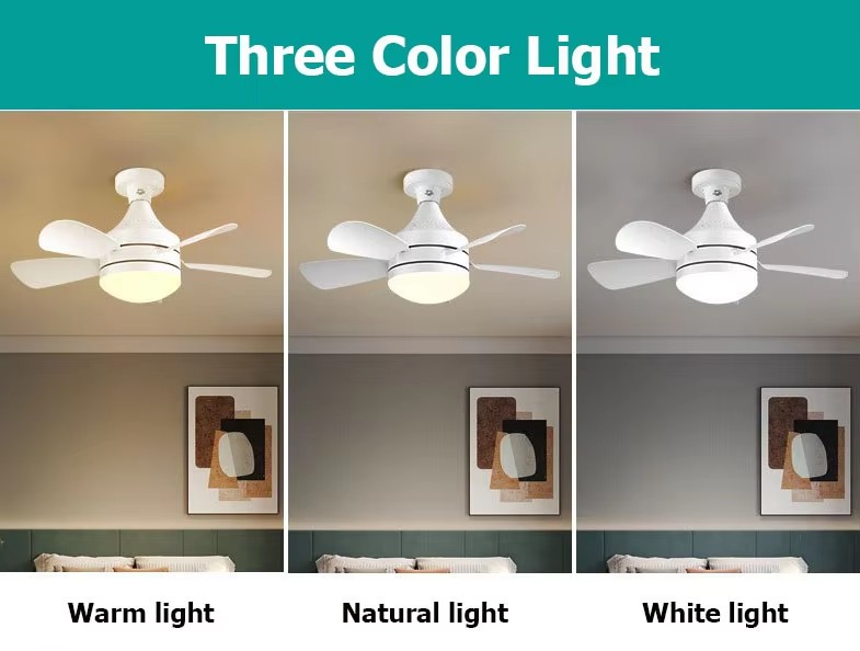 ceiling fan light kit.jpg